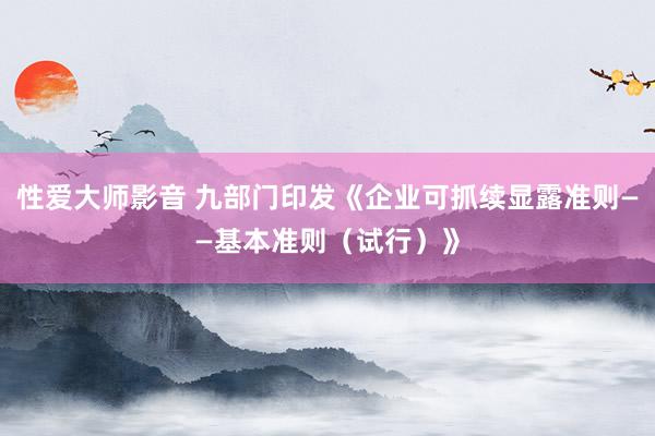 性爱大师影音 九部门印发《企业可抓续显露准则——基本准则（试行）》