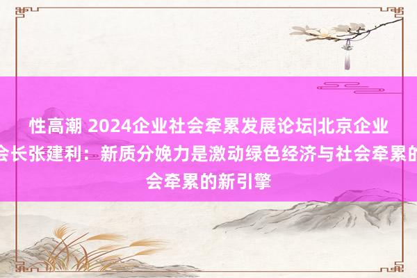 性高潮 2024企业社会牵累发展论坛|北京企业蚁集会会长张建利：新质分娩力是激动绿色经济与社会牵累的新引擎