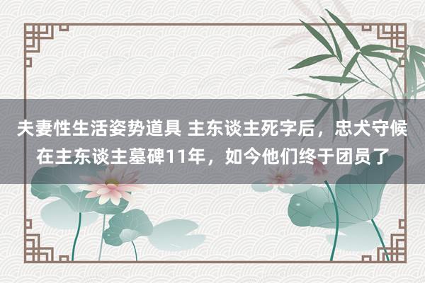 夫妻性生活姿势道具 主东谈主死字后，忠犬守候在主东谈主墓碑11年，如今他们终于团员了