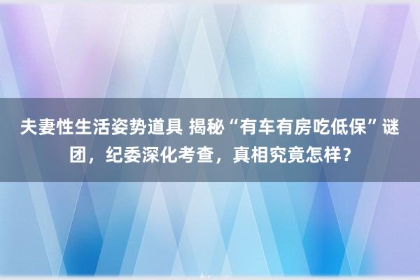 夫妻性生活姿势道具 揭秘“有车有房吃低保”谜团，纪委深化考查，真相究竟怎样？