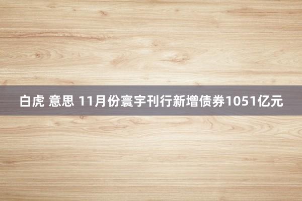 白虎 意思 11月份寰宇刊行新增债券1051亿元