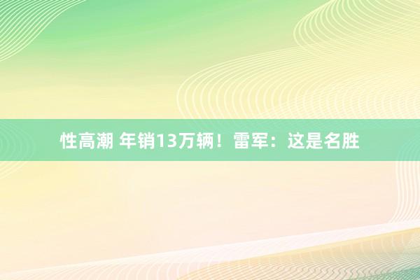 性高潮 年销13万辆！雷军：这是名胜