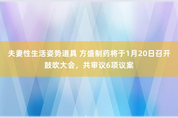 夫妻性生活姿势道具 方盛制药将于1月20日召开鼓吹大会，共审议6项议案