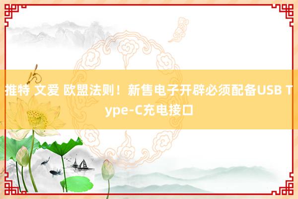 推特 文爱 欧盟法则！新售电子开辟必须配备USB Type-C充电接口