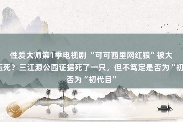 性爱大师第1季电视剧 “可可西里网红狼”被大货车压死？三江源公园证据死了一只，但不笃定是否为“初代目”