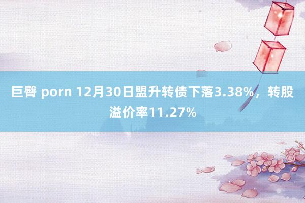 巨臀 porn 12月30日盟升转债下落3.38%，转股溢价率11.27%