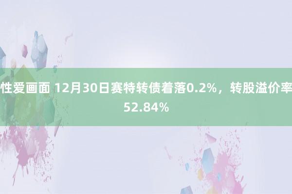 性爱画面 12月30日赛特转债着落0.2%，转股溢价率52.84%