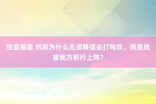 性爱画面 刘邦为什么无须韩信去打匈奴，而是选拔我方躬行上阵？