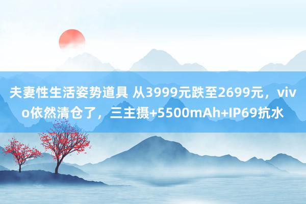 夫妻性生活姿势道具 从3999元跌至2699元，vivo依然清仓了，三主摄+5500mAh+IP69抗水