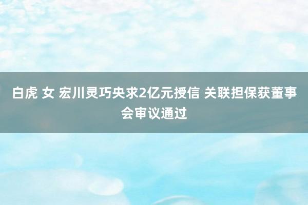 白虎 女 宏川灵巧央求2亿元授信 关联担保获董事会审议通过