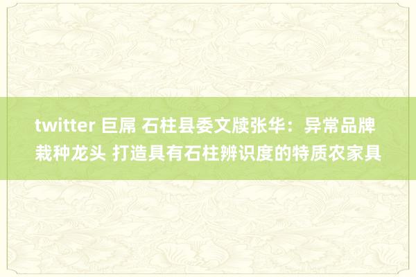 twitter 巨屌 石柱县委文牍张华：异常品牌 栽种龙头 打造具有石柱辨识度的特质农家具