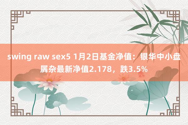 swing raw sex5 1月2日基金净值：银华中小盘羼杂最新净值2.178，跌3.5%