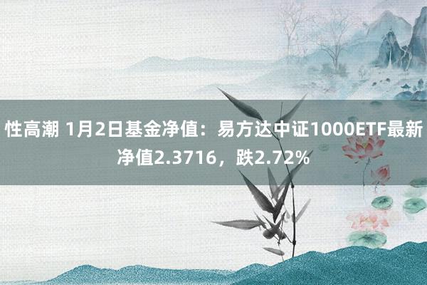 性高潮 1月2日基金净值：易方达中证1000ETF最新净值2.3716，跌2.72%