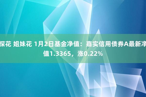 探花 姐妹花 1月2日基金净值：嘉实信用债券A最新净值1.3365，涨0.22%