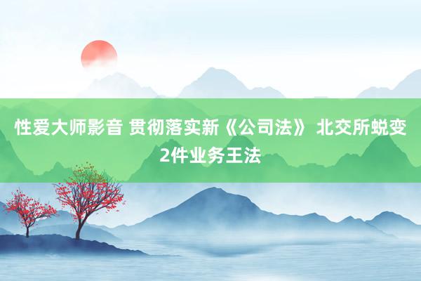 性爱大师影音 贯彻落实新《公司法》 北交所蜕变2件业务王法