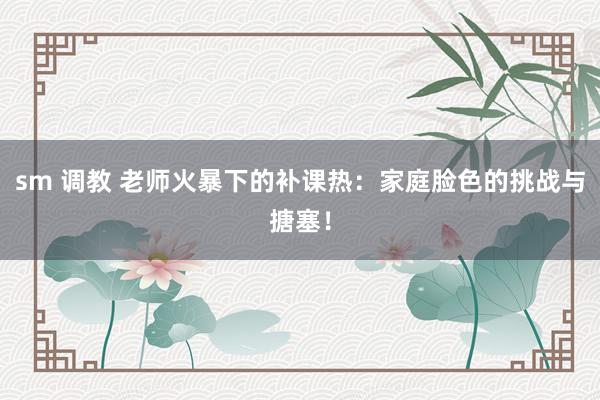 sm 调教 老师火暴下的补课热：家庭脸色的挑战与搪塞！