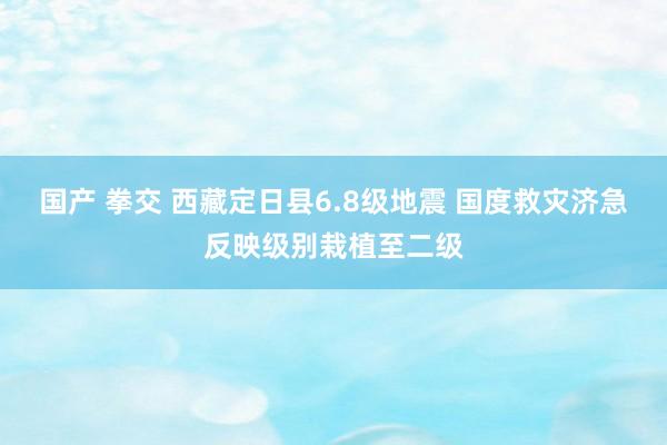 国产 拳交 西藏定日县6.8级地震 国度救灾济急反映级别栽植至二级