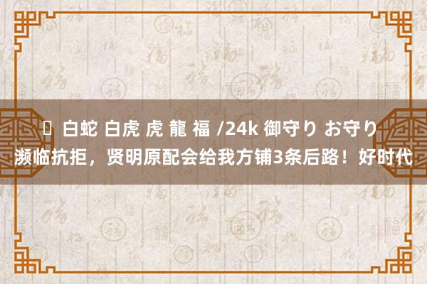 ✨白蛇 白虎 虎 龍 福 /24k 御守り お守り 濒临抗拒，贤明原配会给我方铺3条后路！好时代