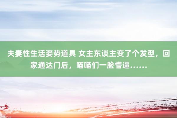 夫妻性生活姿势道具 女主东谈主变了个发型，回家通达门后，喵喵们一脸懵逼……