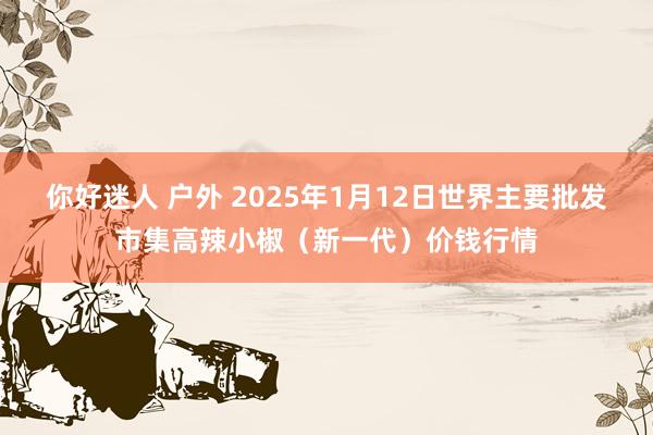 你好迷人 户外 2025年1月12日世界主要批发市集高辣小椒（新一代）价钱行情