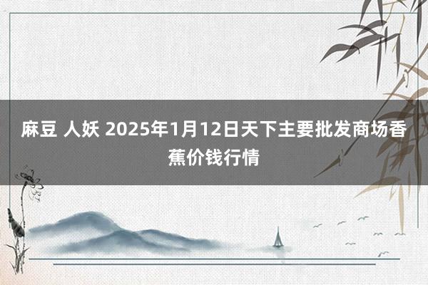 麻豆 人妖 2025年1月12日天下主要批发商场香蕉价钱行情