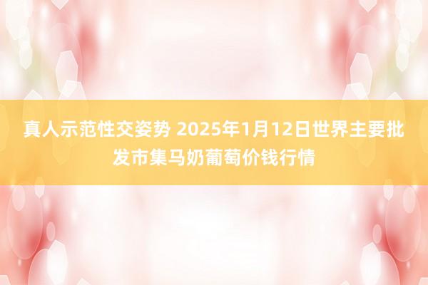 真人示范性交姿势 2025年1月12日世界主要批发市集马奶葡萄价钱行情