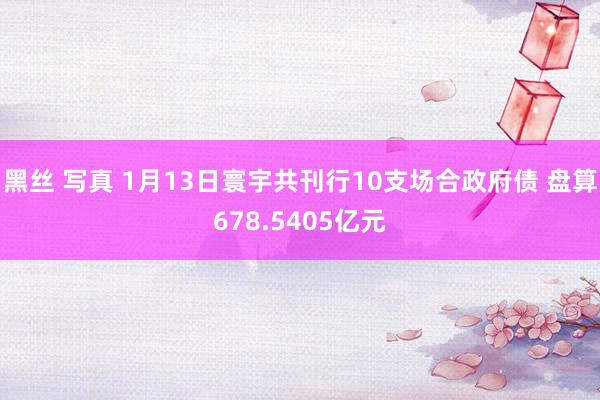 黑丝 写真 1月13日寰宇共刊行10支场合政府债 盘算678.5405亿元