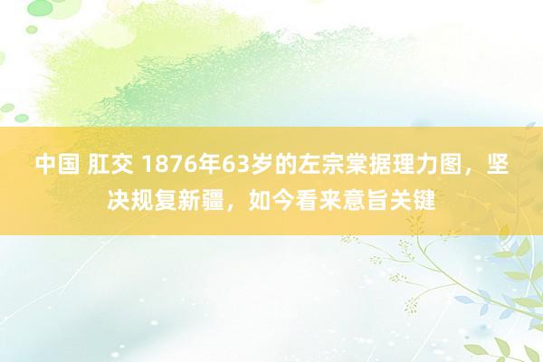 中国 肛交 1876年63岁的左宗棠据理力图，坚决规复新疆，如今看来意旨关键