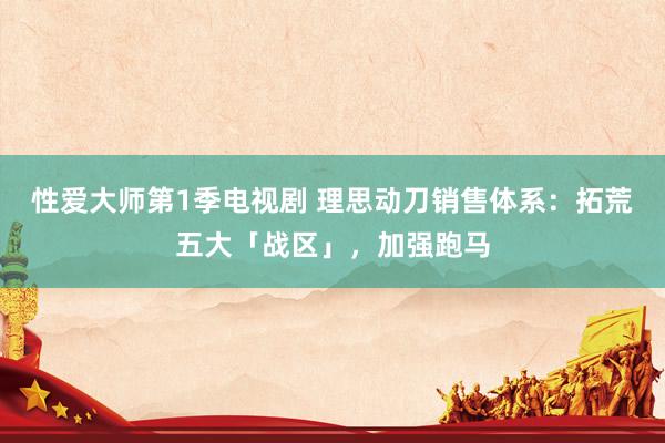 性爱大师第1季电视剧 理思动刀销售体系：拓荒五大「战区」，加强跑马