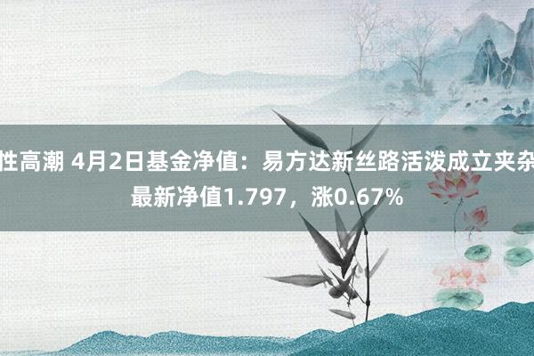 性高潮 4月2日基金净值：易方达新丝路活泼成立夹杂最新净值1.797，涨0.67%