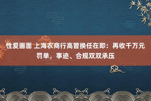 性爱画面 上海农商行高管换任在即：再收千万元罚单，事迹、合规双双承压