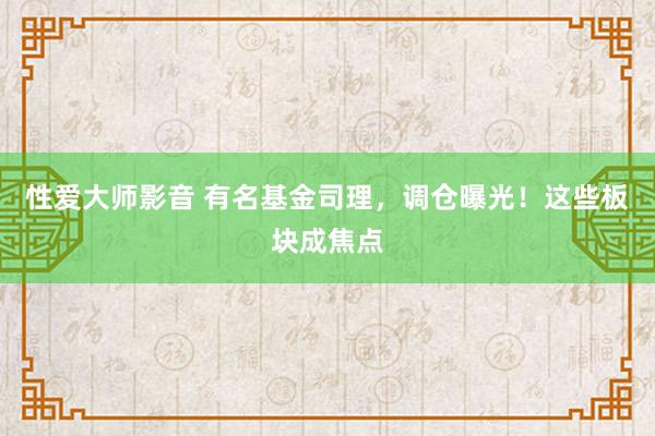 性爱大师影音 有名基金司理，调仓曝光！这些板块成焦点